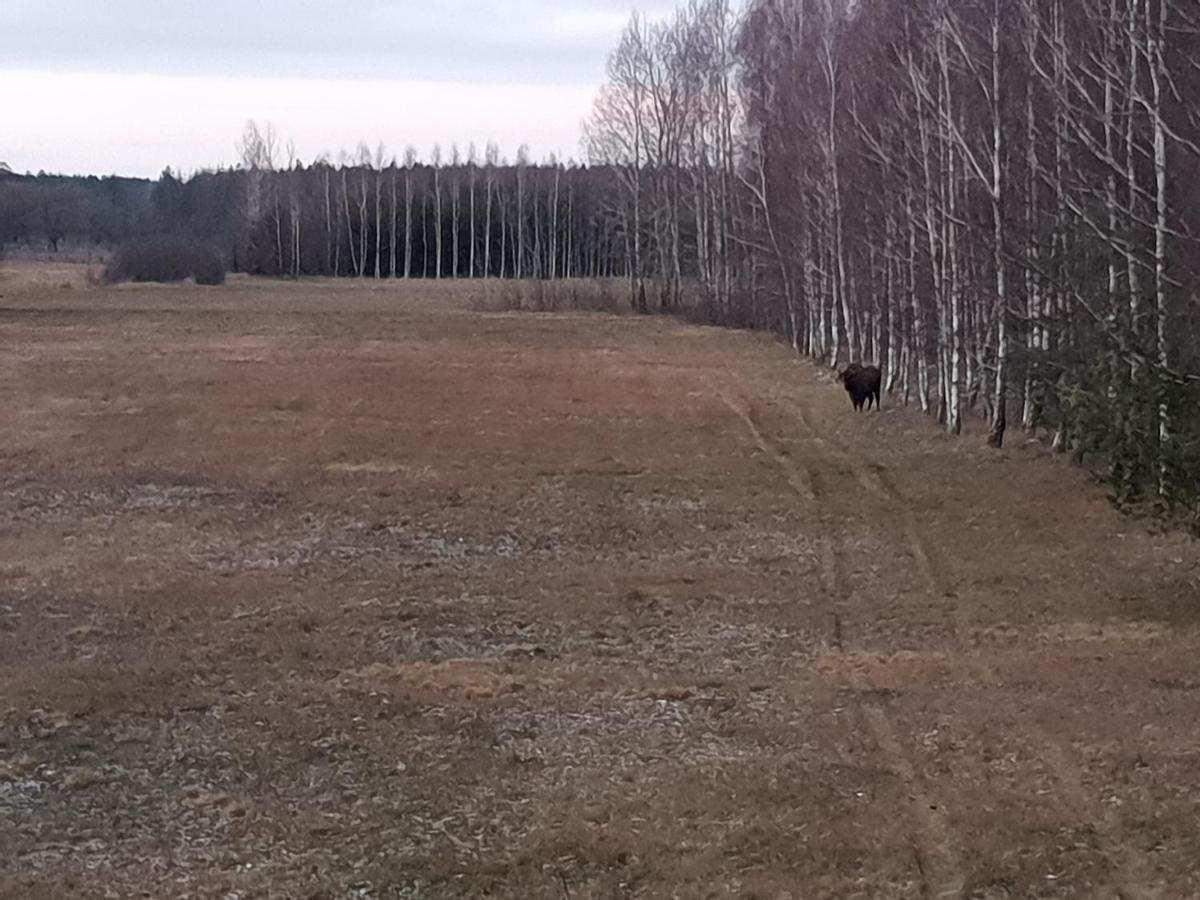 Ciche Podlasie Siemianowka Kültér fotó