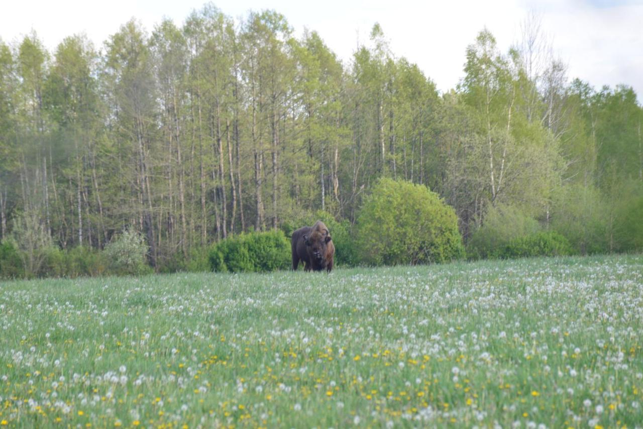 Ciche Podlasie Siemianowka Kültér fotó