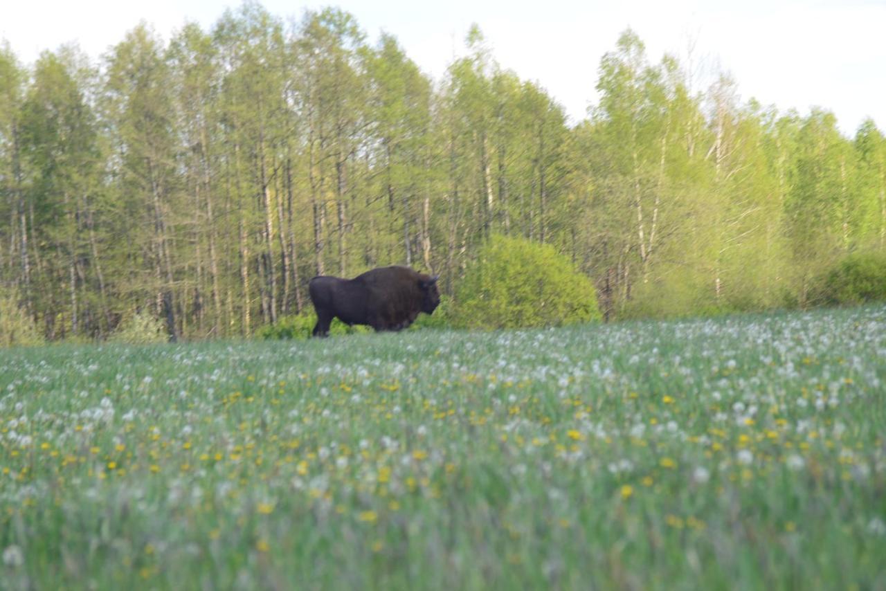 Ciche Podlasie Siemianowka Kültér fotó